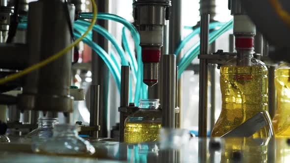 Sunflower Oil Is Poured Into Containers on the Conveyor. Vegetable Oil Production Line alt