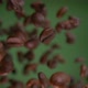 Closeup of the Roasted Coffee Beans Rotating on the Olive Green Background - VideoHive Item for Sale