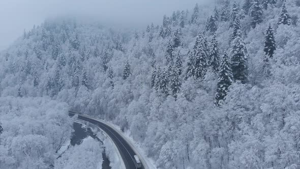 Aerial shot: buses are driving by the road in winter forest.