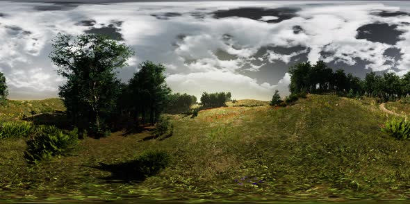 VR360 View of Field and Fofest alt