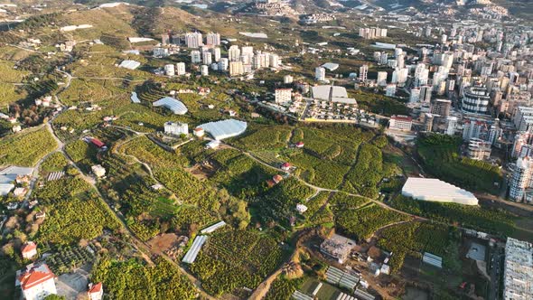 Colorful City Aerial View 4 K Alanya Turkey alt