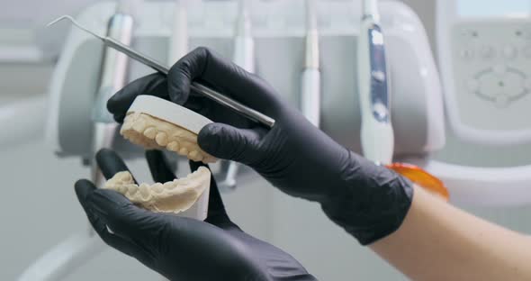 Dentist Shows the Patient on the Model of the Jaw How To Properly Treat Her Teeth, Care of the Teeth alt