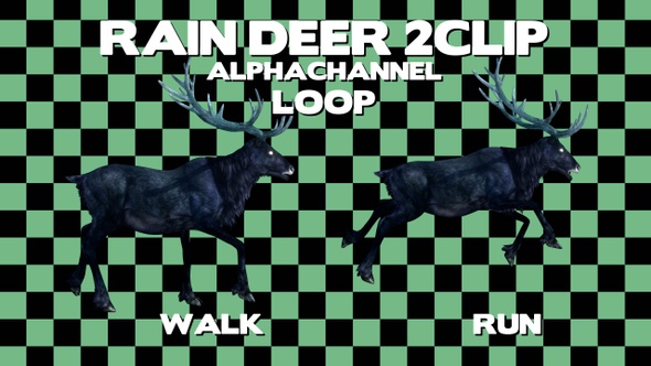 Rain Deer 2 Clip Alpha Loop