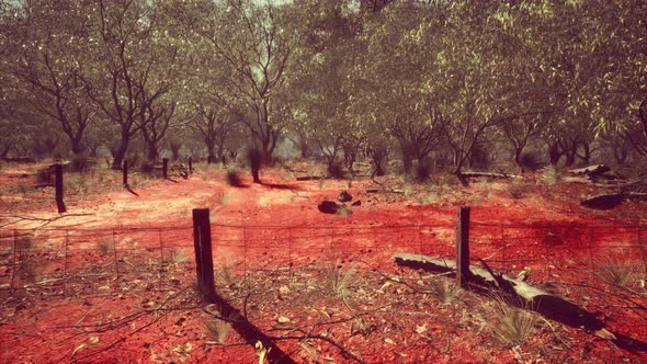Old Rusted Small Farm Fence alt