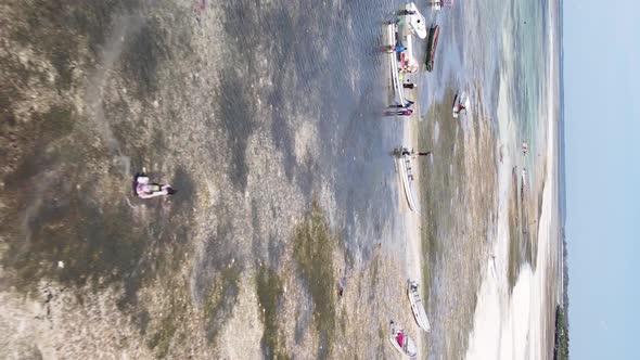 Vertical Video of Low Tide in the Ocean Near the Coast of Zanzibar Tanzania Aerial View alt