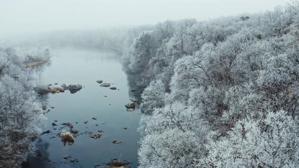 Snowy White Forest Near the River alt