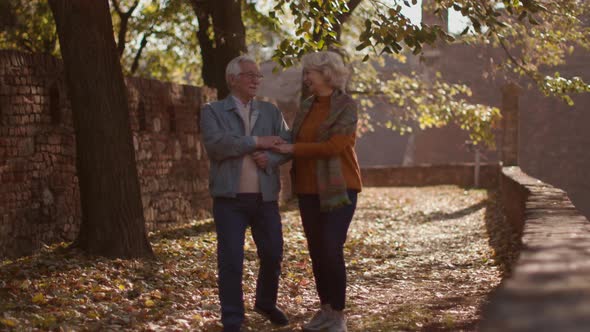 Handsome senior couple walking in autumn park