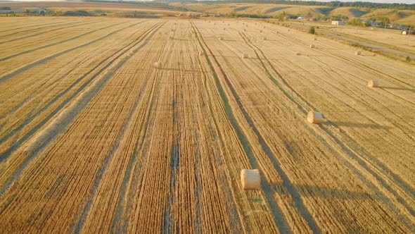 Rolls of Haystacks on the Field. Landscape with Twisted Haystacks in the Field. Agriculture Concept. alt