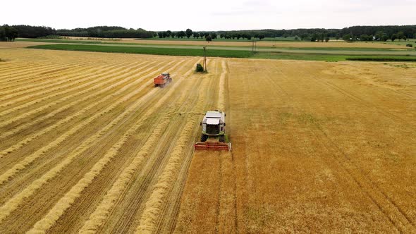 Drone View of Two Modern Combine Harvesters Reaping Wheat Near Road