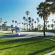 Park with Palm Trees - VideoHive Item for Sale
