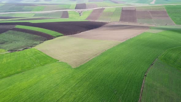 Aerial of Hilly Agricultural Fields in Morocco alt