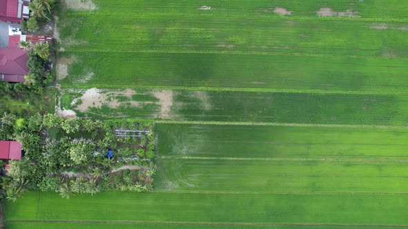 The Travel Heaven of Langkawi, Malaysia alt