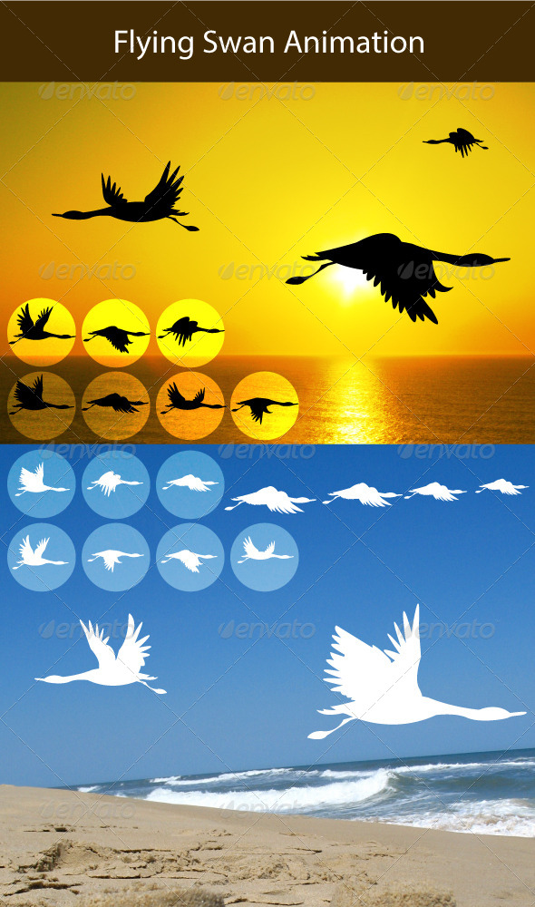 Flying Swan Animation - Man-made Objects Objects