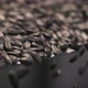 Sunflower Seeds On A Conveyor Belt - VideoHive Item for Sale