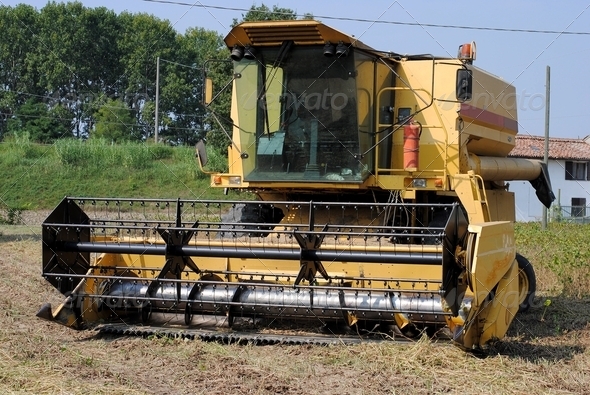 Yellow combine harvester in a soy field