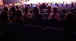 Audience at Show. Theatres, Cinemas, Concerts