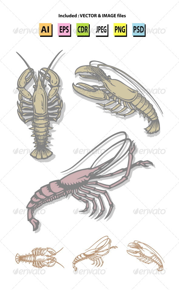 Lobster and Prawn Sketches - Animals Characters