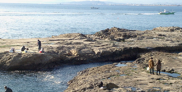 Rocky Shore