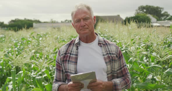 Mature man working on farm alt