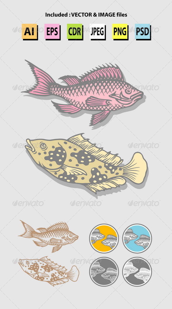 Fish Sketches - Animals Characters