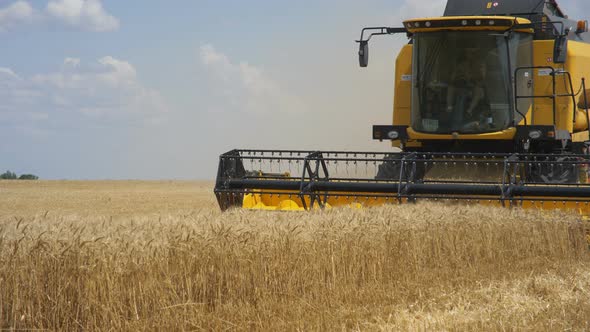 Combine Harvester Gathers the Wheat Crop alt