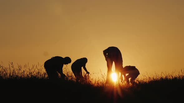 Silhouettes of People Cleaning Garbage in the Meadow alt