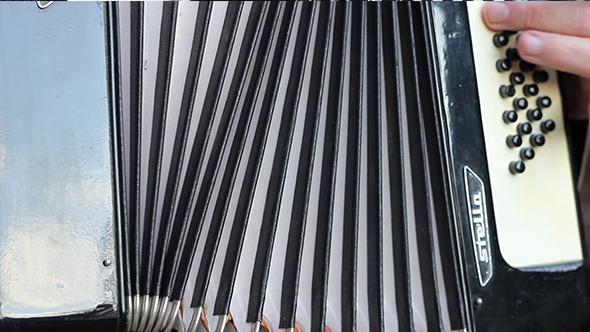 Accordion Instrument Body alt