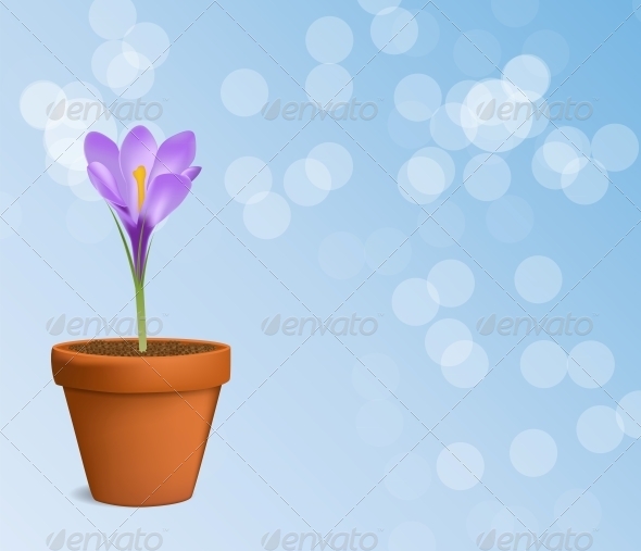 Vector Illustration of Crocus Flower - Flowers & Plants Nature