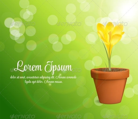 Vector Illustration of Crocus Flower - Flowers & Plants Nature