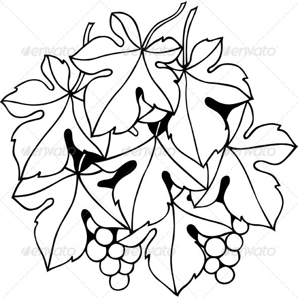 Decorative Vine Element - Flourishes / Swirls Decorative