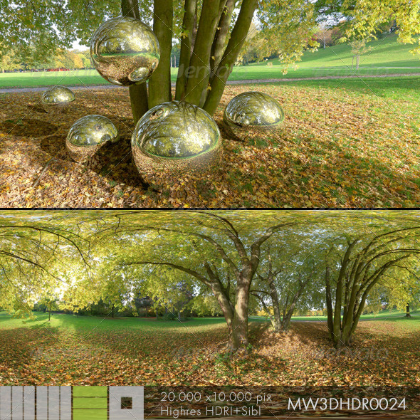 MW3DHDR0024 Autumn under the Trees - 3DOcean Item for Sale