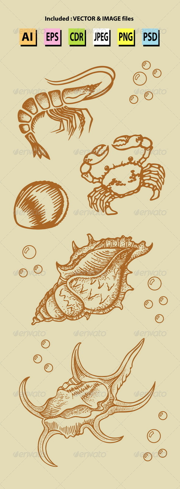 Vintage Sea Lives Sketch - Animals Characters