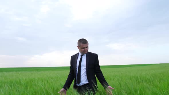 A Farmer Agronomist Walks on a Green Field of Wheat and Checks the Harvest alt