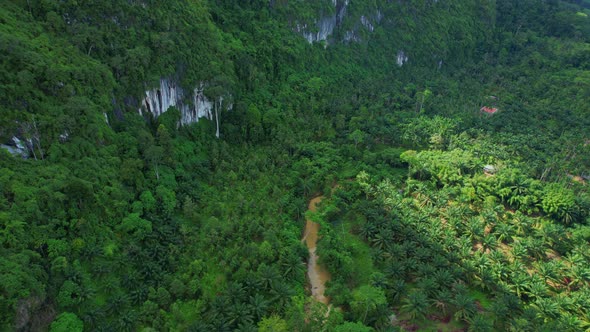 Drone fly over tropical forests, mountains on the sides alt