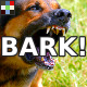 Dog Warning Bark