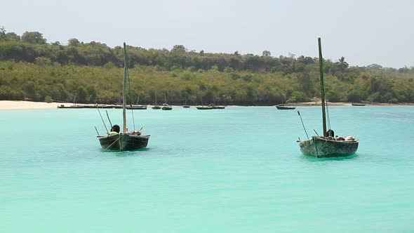 Tropical Island Traditional Boats