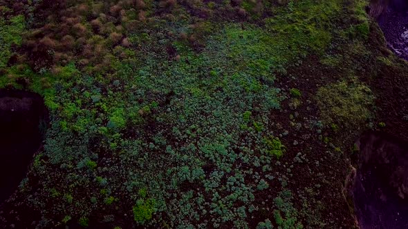 Aerial dawn reveal of RV parked at beach on Cabrillo Highway in California alt