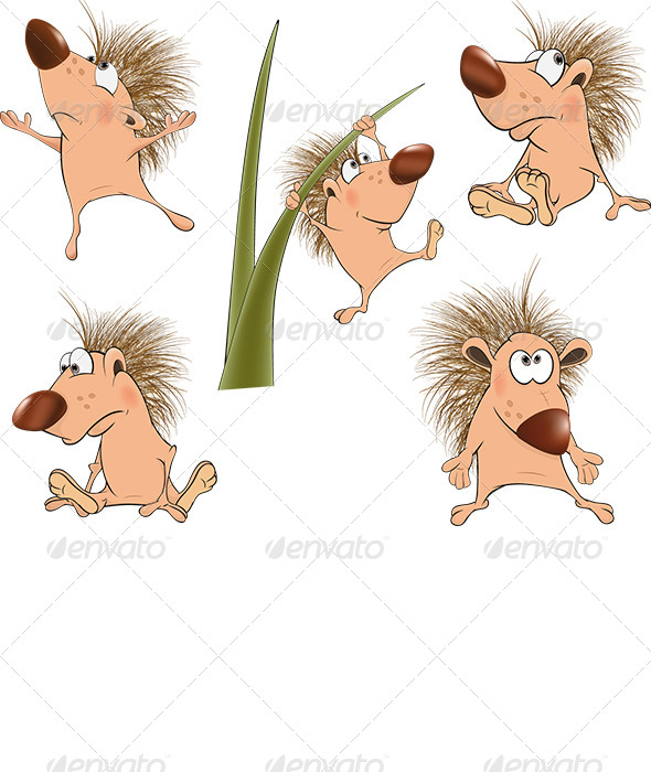 Small Hedgehogs - Animals Characters