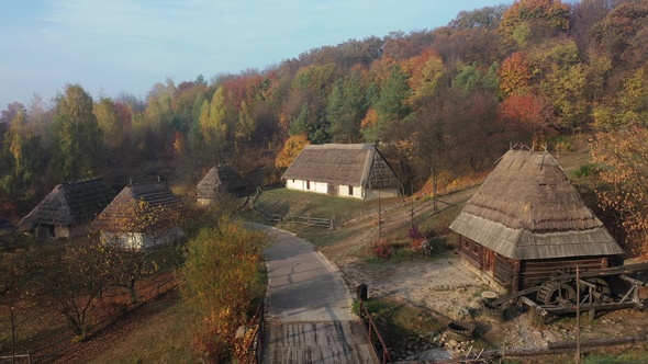 Aerial view of colorful forest on a sunny day in autumn. Mixed colors. alt