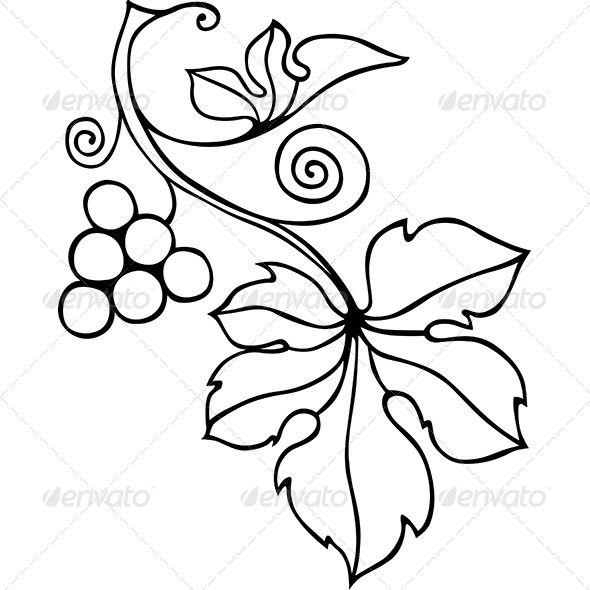Decorative Vine Element - Flourishes / Swirls Decorative