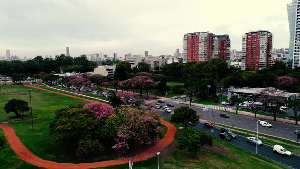 Drone Flying Through Avenue