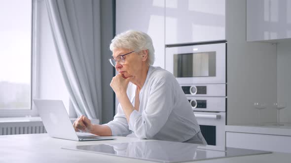 Pensioner manager woman types on grey laptop alt