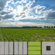 MW3DHDR0018 Agriculture Fields Summersky