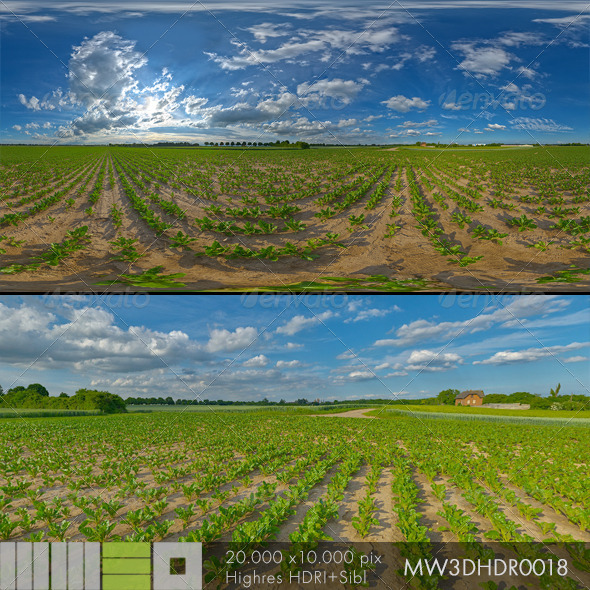 MW3DHDR0018 Agriculture Fields - 3Docean 6519568