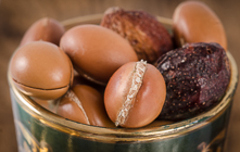 Argan fruits