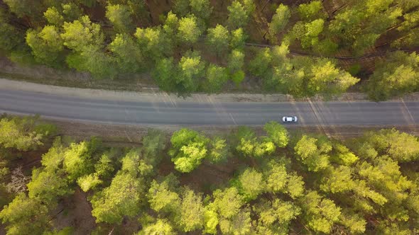Car From Above
