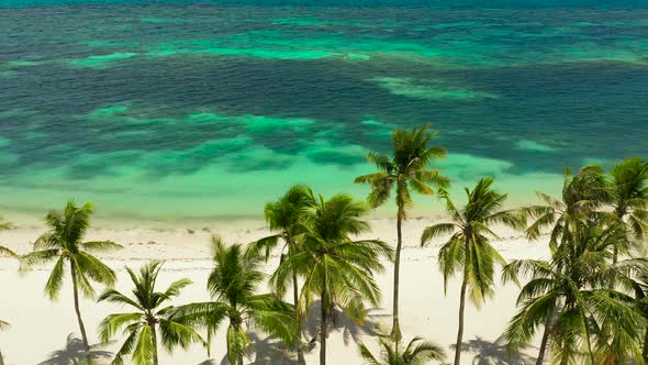 Sandy Beach and Tropical Sea alt