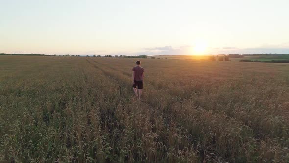 Aerial Shot of a Man Walking Through a Ripe Yellow Wheat Field at Sunset alt