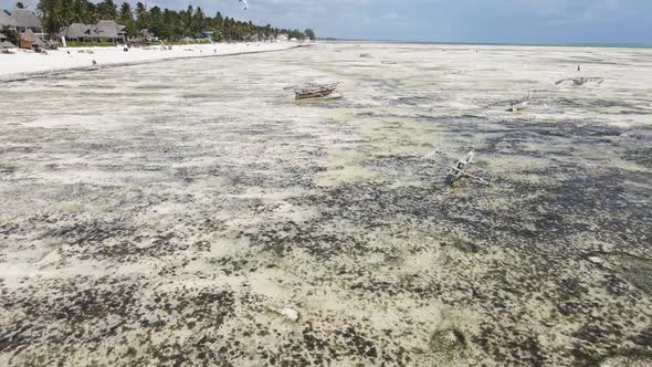 Zanzibar Tanzania  Low Tide in the Ocean Near the Shore alt