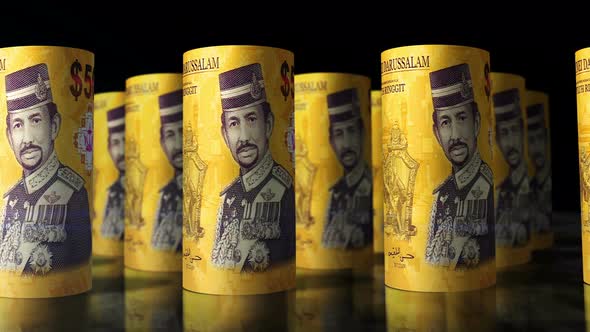 Brunei dollar money banknotes rolls seamless loop alt